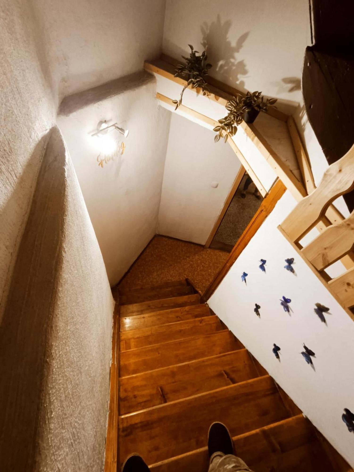 Sigma House Hostel มอยสตรานา ภายนอก รูปภาพ
